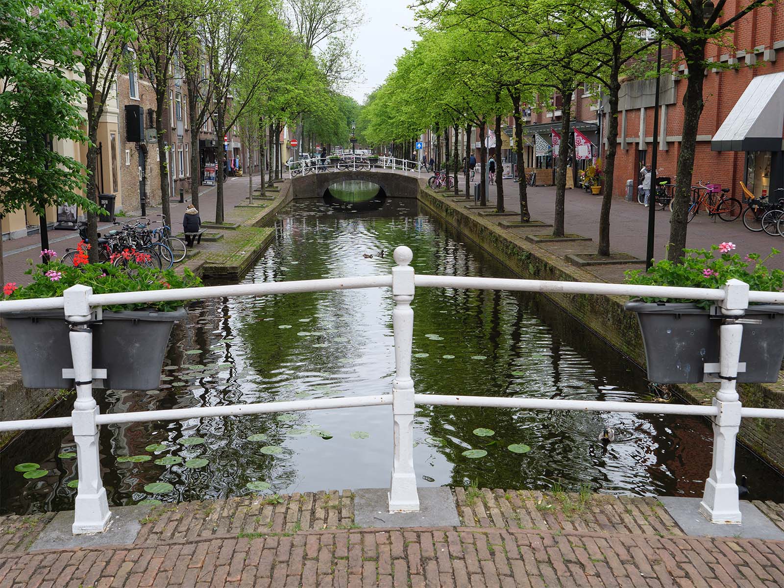 Gracht delft